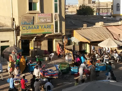 APOF - Horn of Africa Project  - Hargeisa